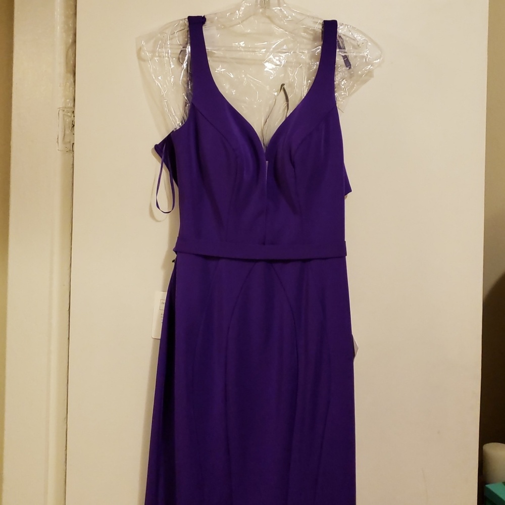 NWT Purple Gown